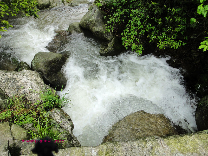 dsc09655.jpg