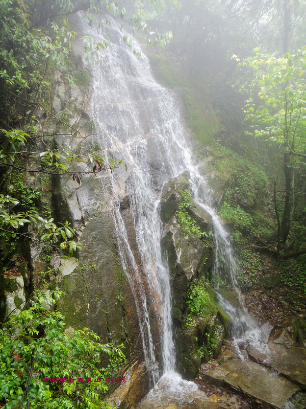 dsc09662.jpg