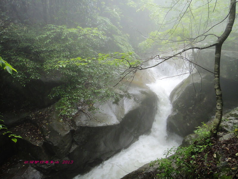 dsc09665.jpg