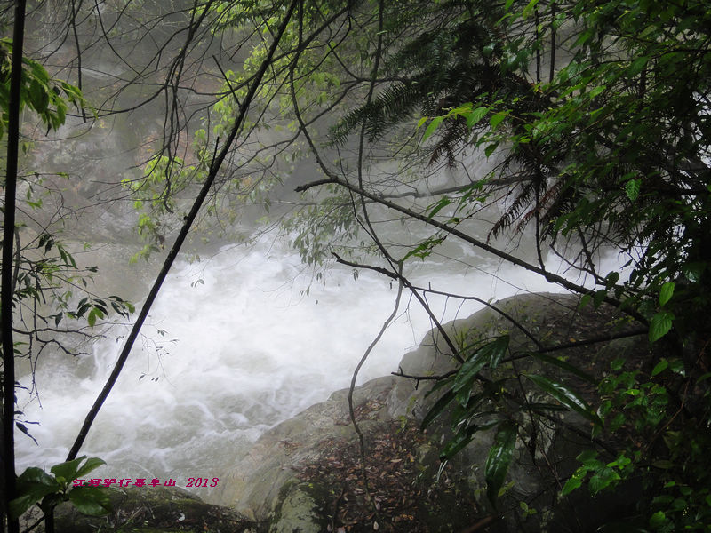 dsc09687.jpg