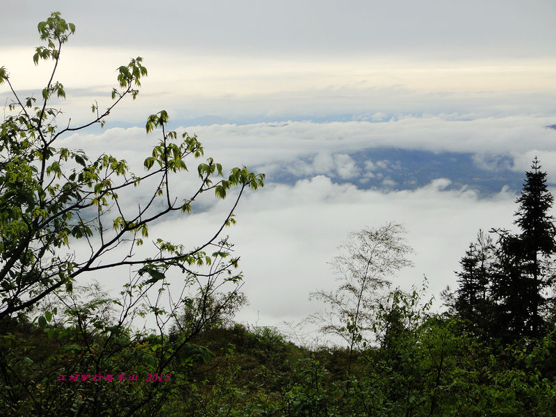 dsc09632.jpg