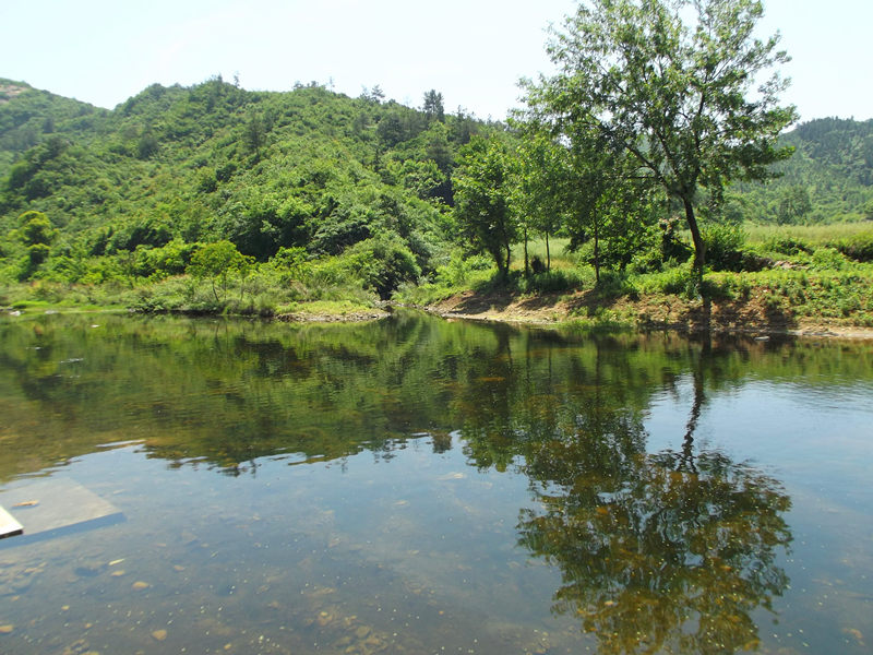 dscf1925_.jpg