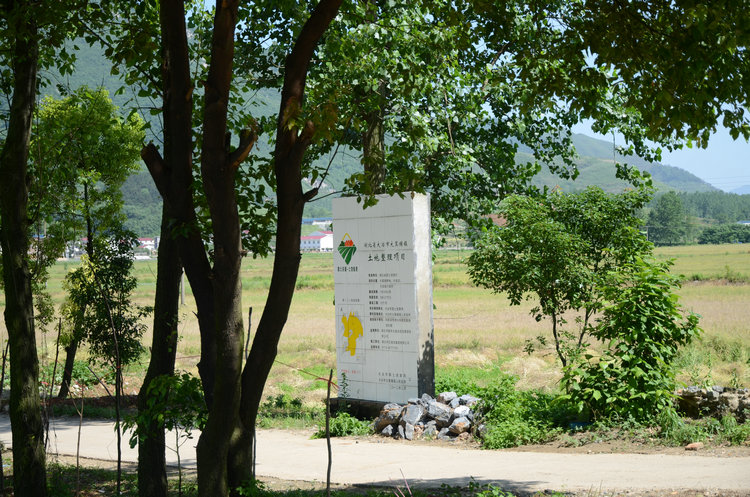 dsc_0728.jpg