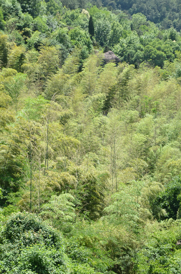 dsc_0126.jpg
