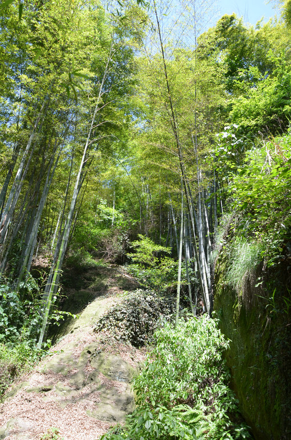 dsc_0147.jpg