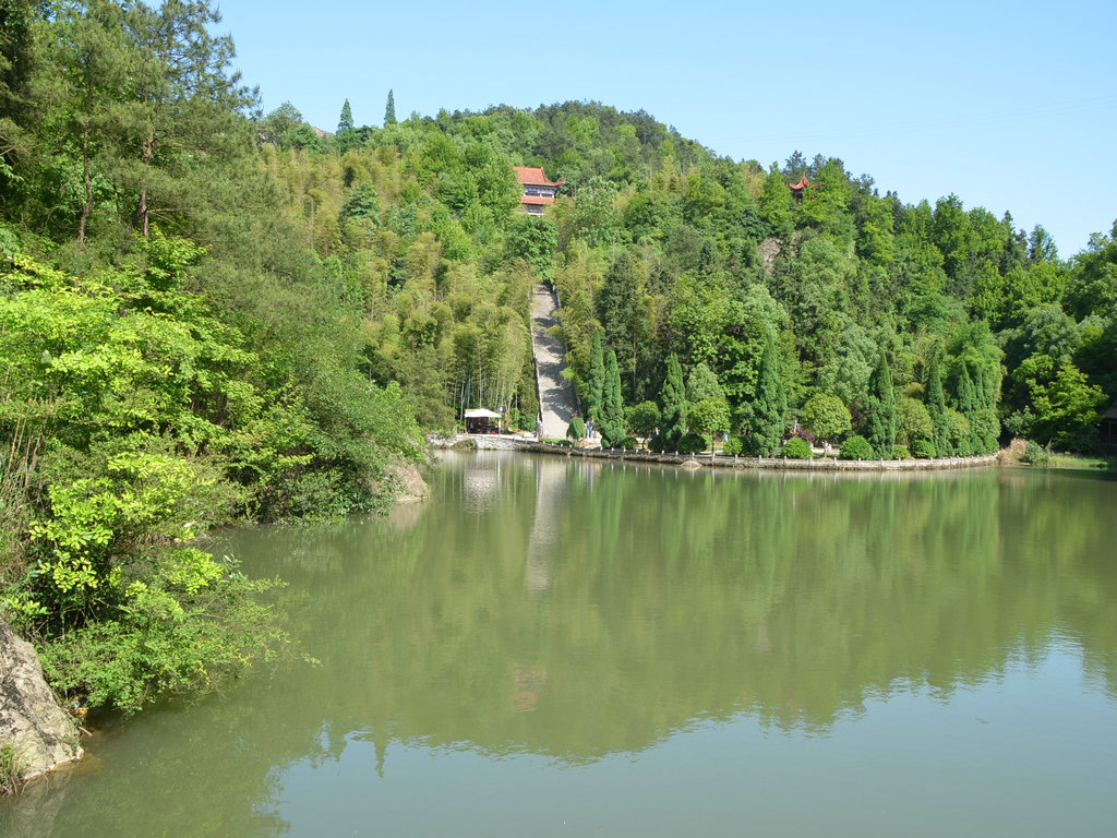 dsc_0305.jpg