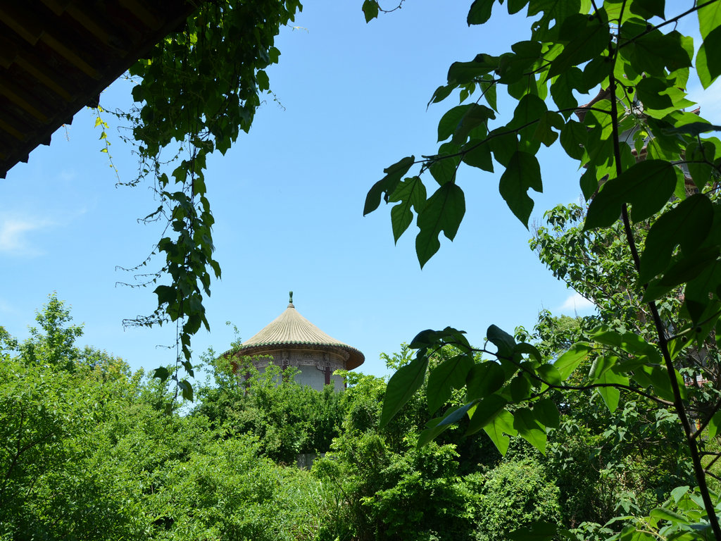 dsc_0005.jpg