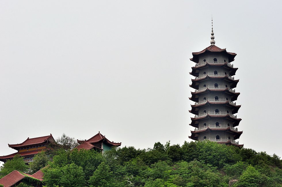 dsc_0769.jpg