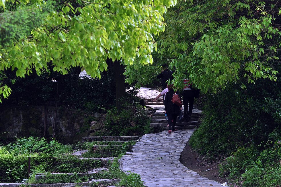 dsc_0892.jpg