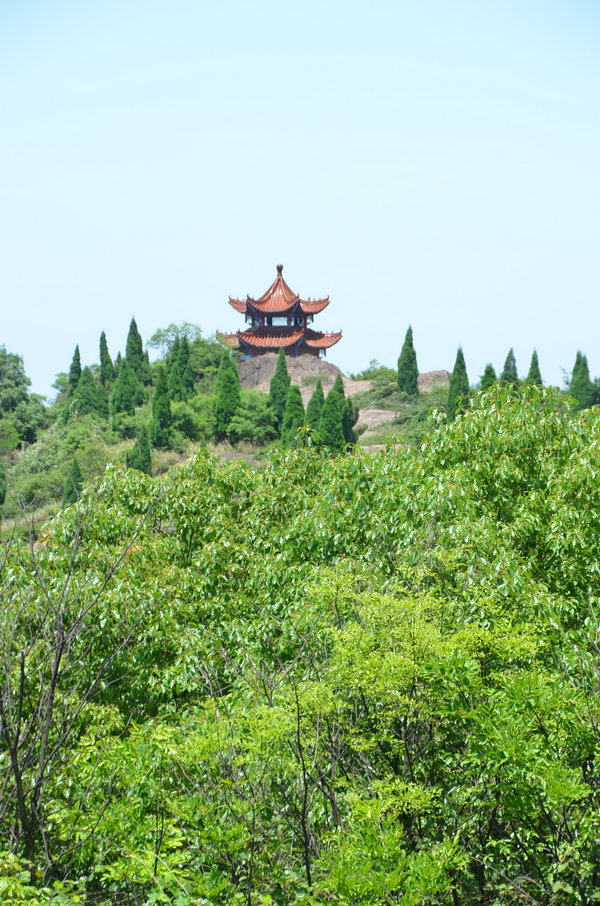 dsc_1132.jpg