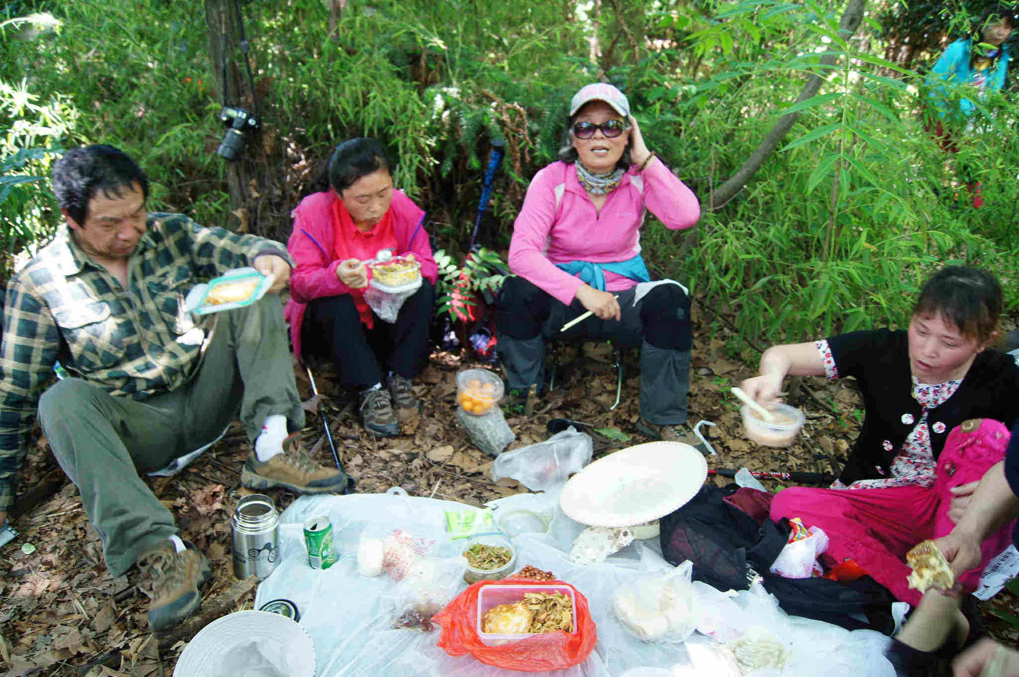 dsc06074 -  - .jpg