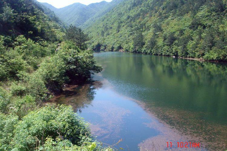dsc04884.jpg