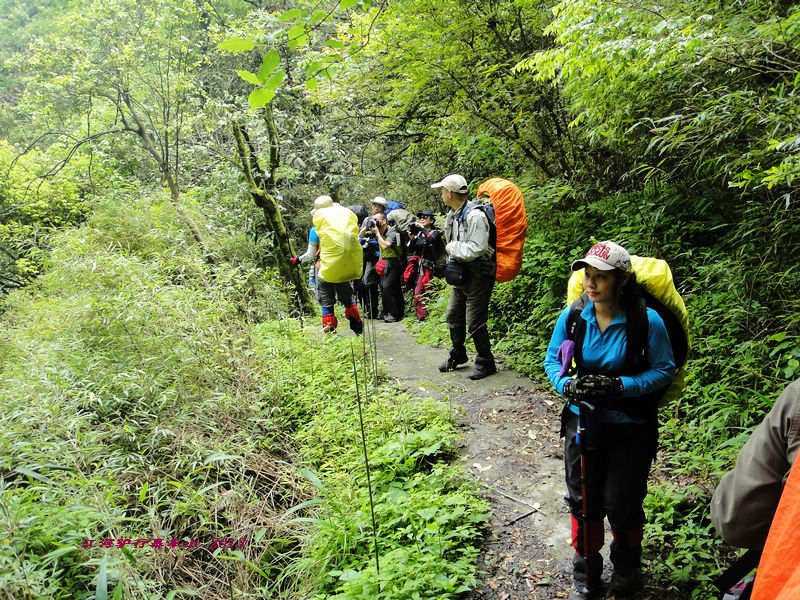 dsc09725.jpg