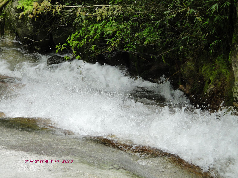 dsc09780.jpg