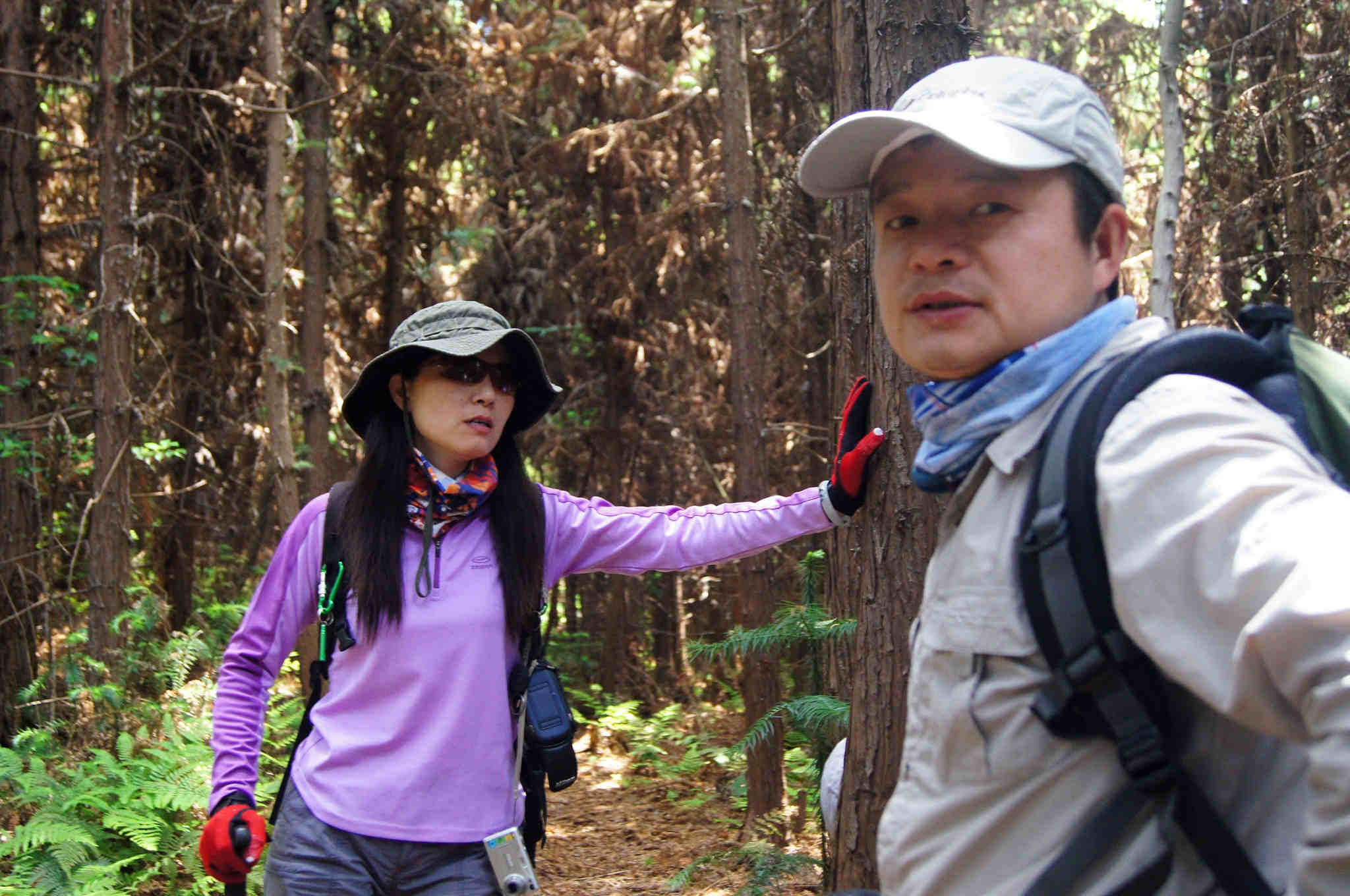 dsc06084 -  - .jpg