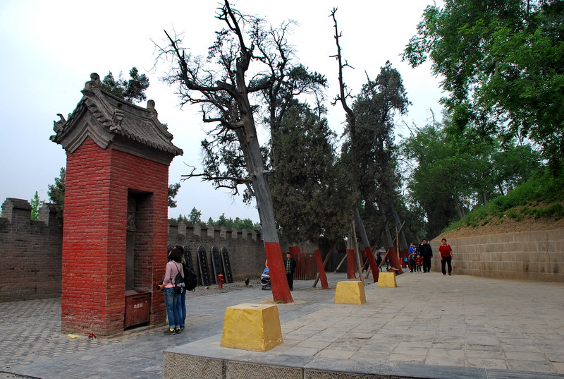 dsc_8284.jpg