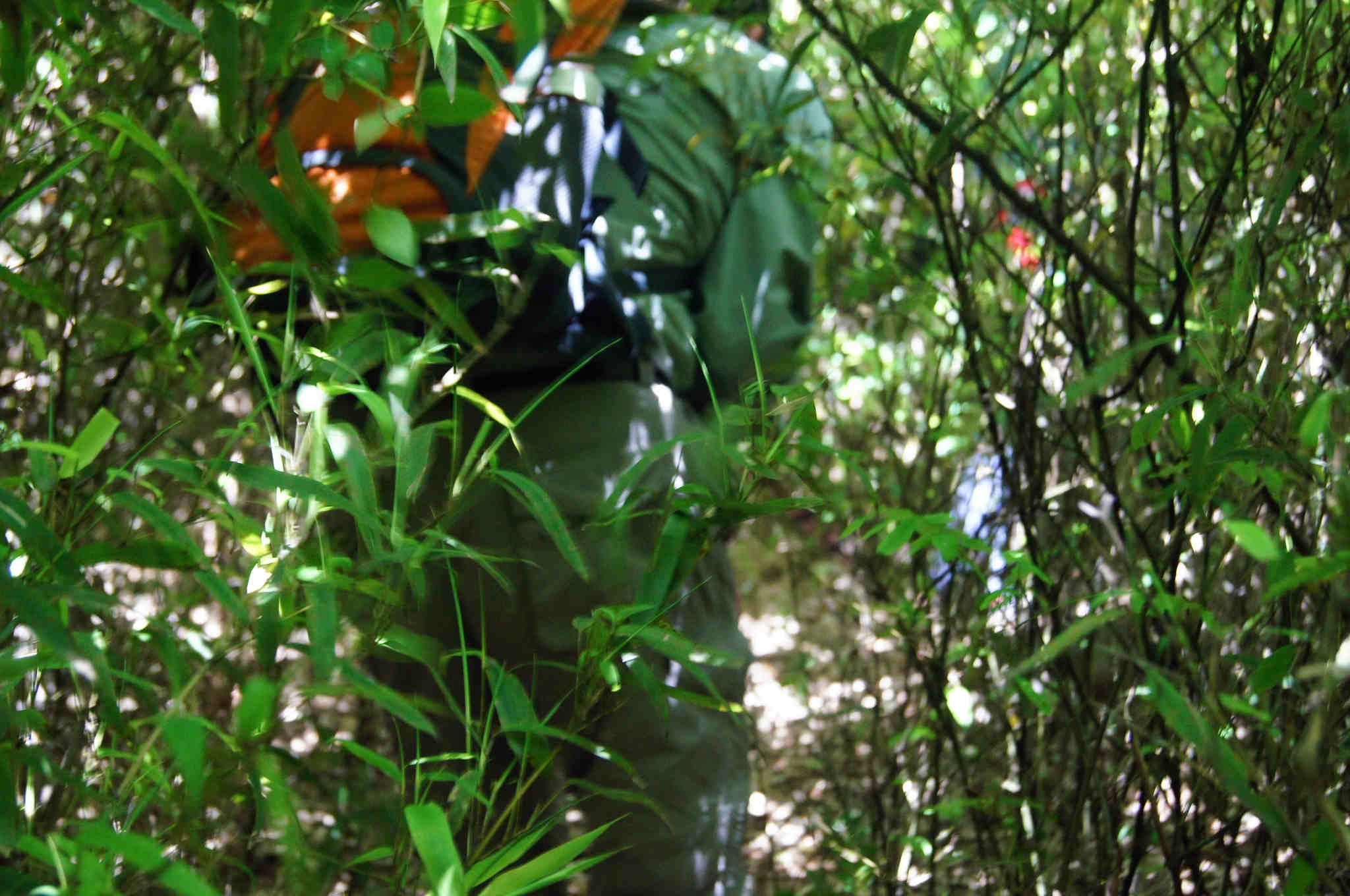 dsc06102 -  - .jpg