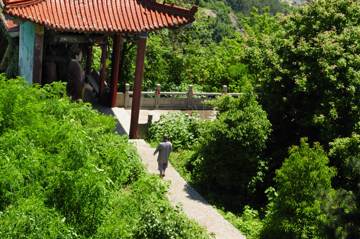 _dsc9790.jpg