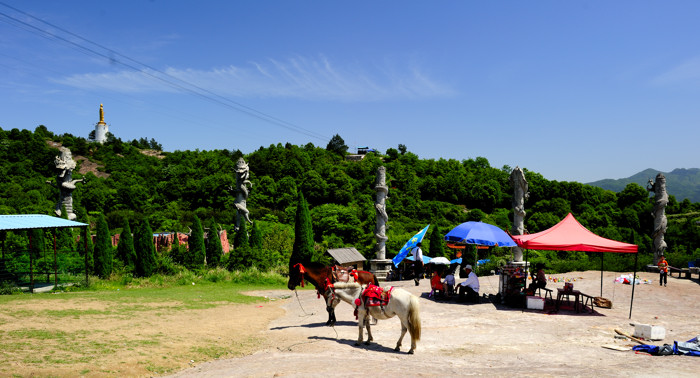 _dsc9817.jpg