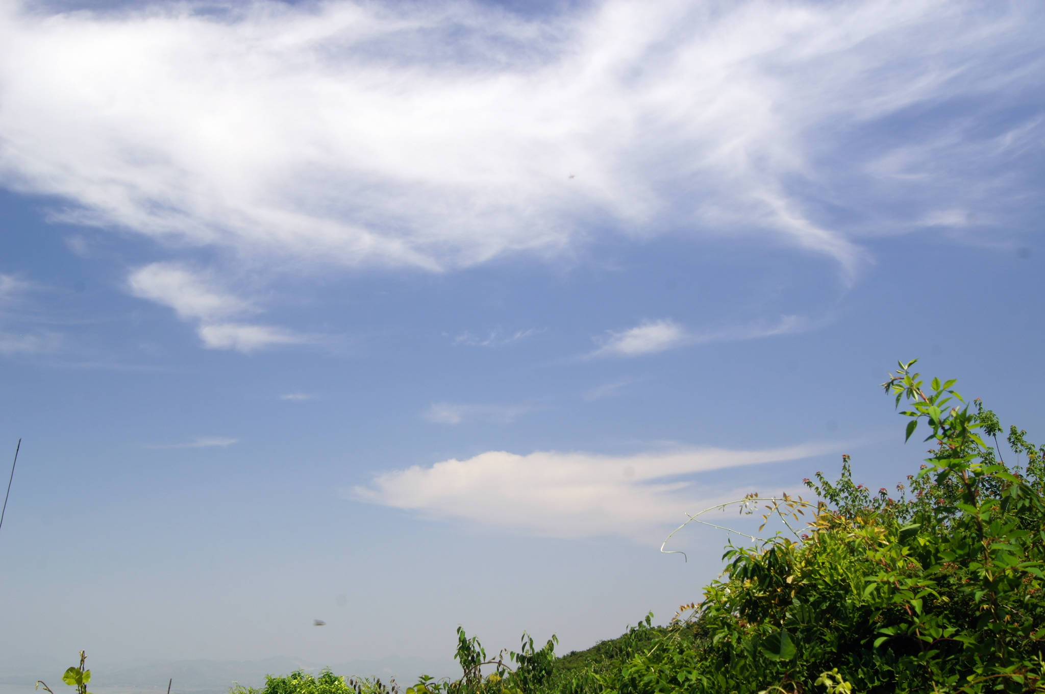 dsc06106 -  - .jpg
