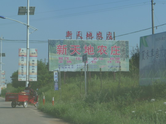 p1040525.jpg