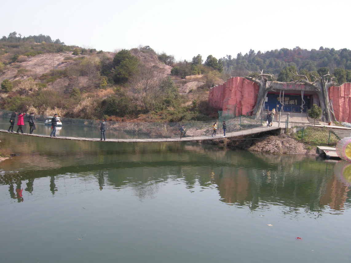 dscn7491.jpg