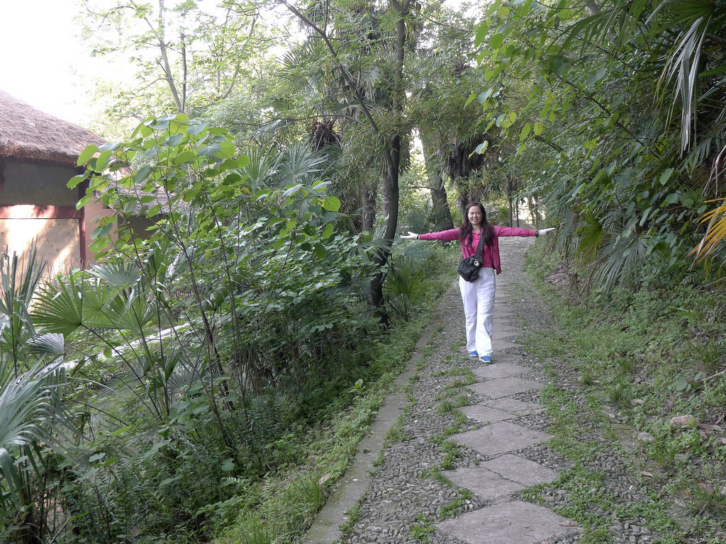 p1210514_.jpg