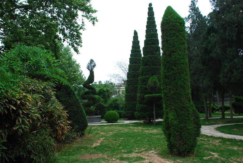 dsc_8384.jpg