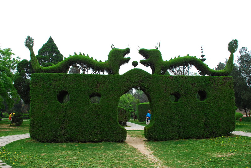 dsc_8417.jpg