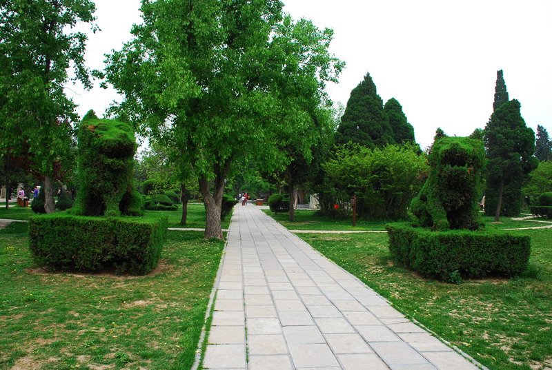 dsc_8441.jpg