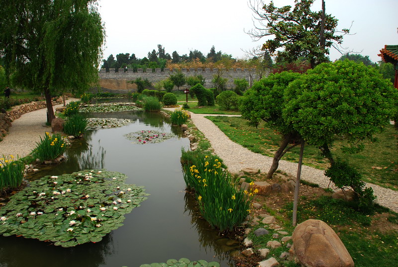 dsc_8451.jpg