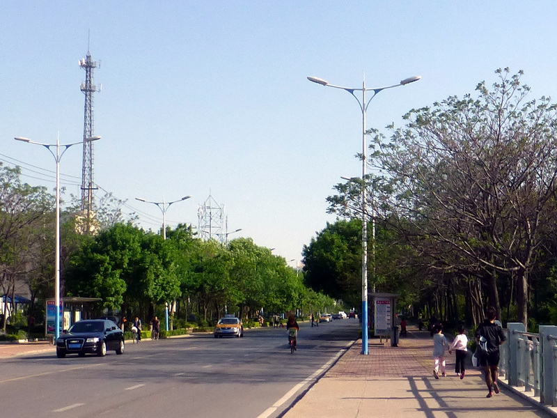 p1060965.jpg