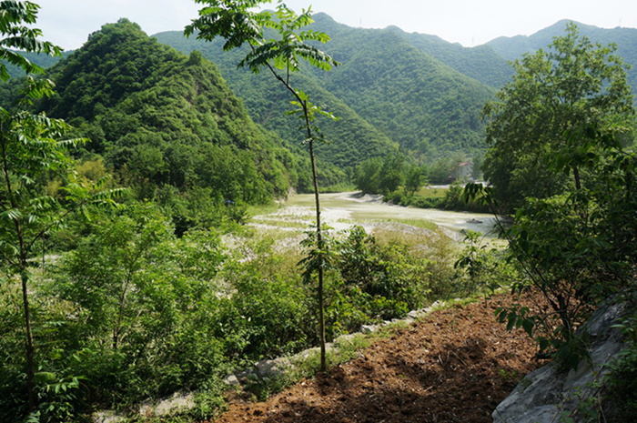 dsc01918_.jpg