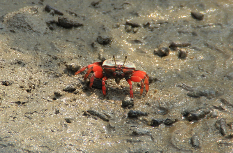 img_0017.jpg