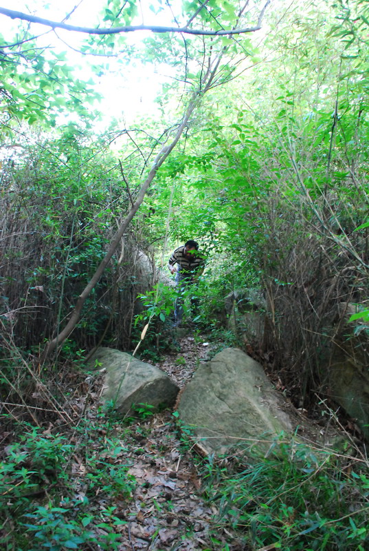 dsc_9953.jpg