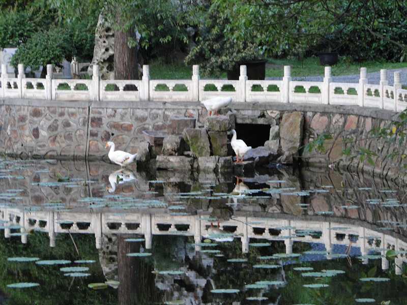 dsc08042_.jpg