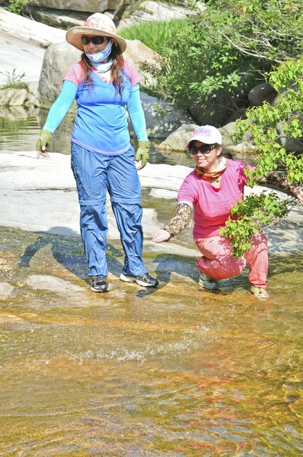 dsc_9547_1.jpg