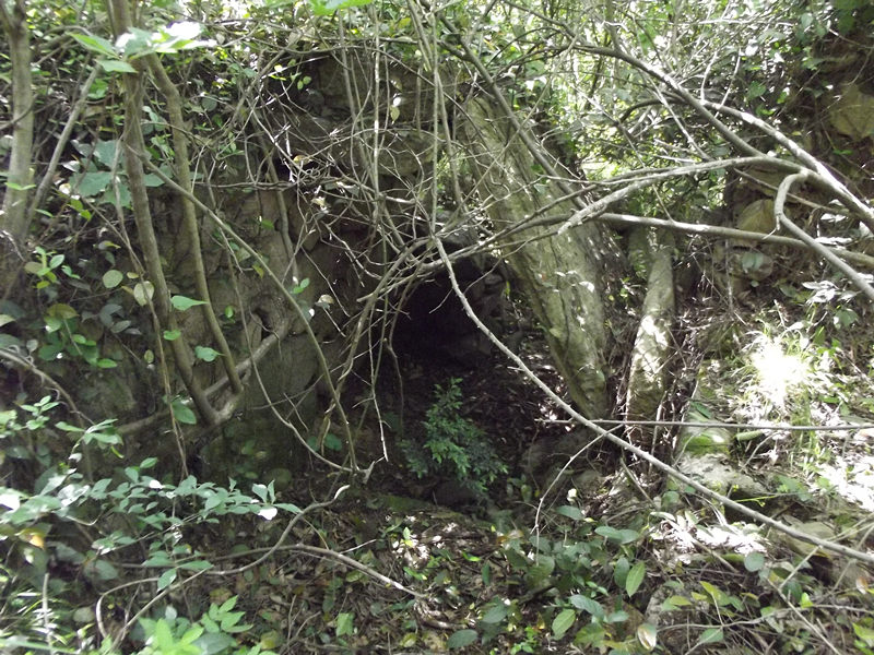 dscf2029_.jpg