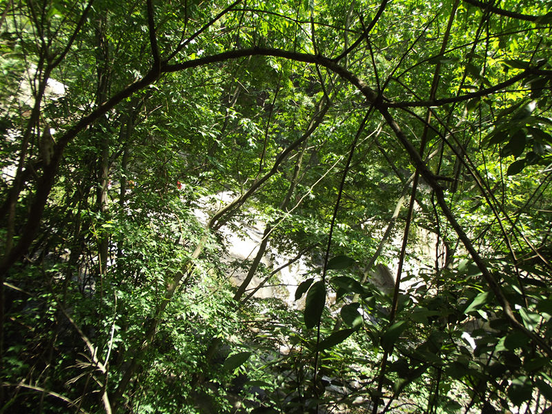 dscf2032_.jpg