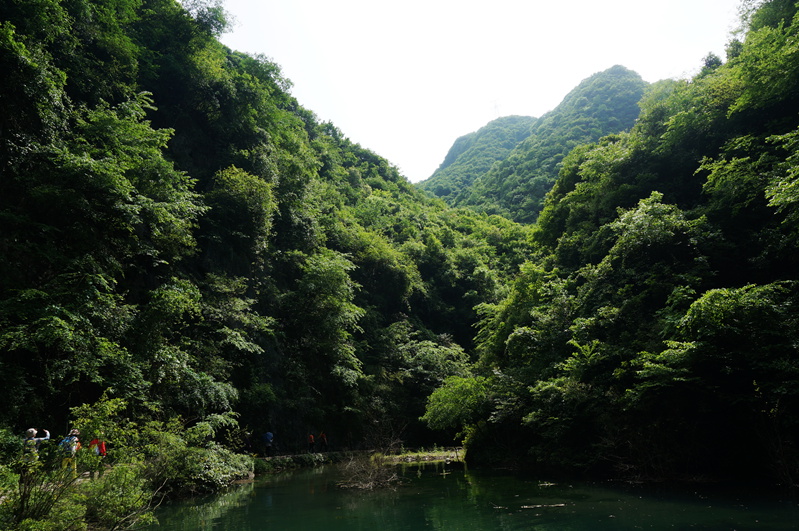 dsc01925_.jpg