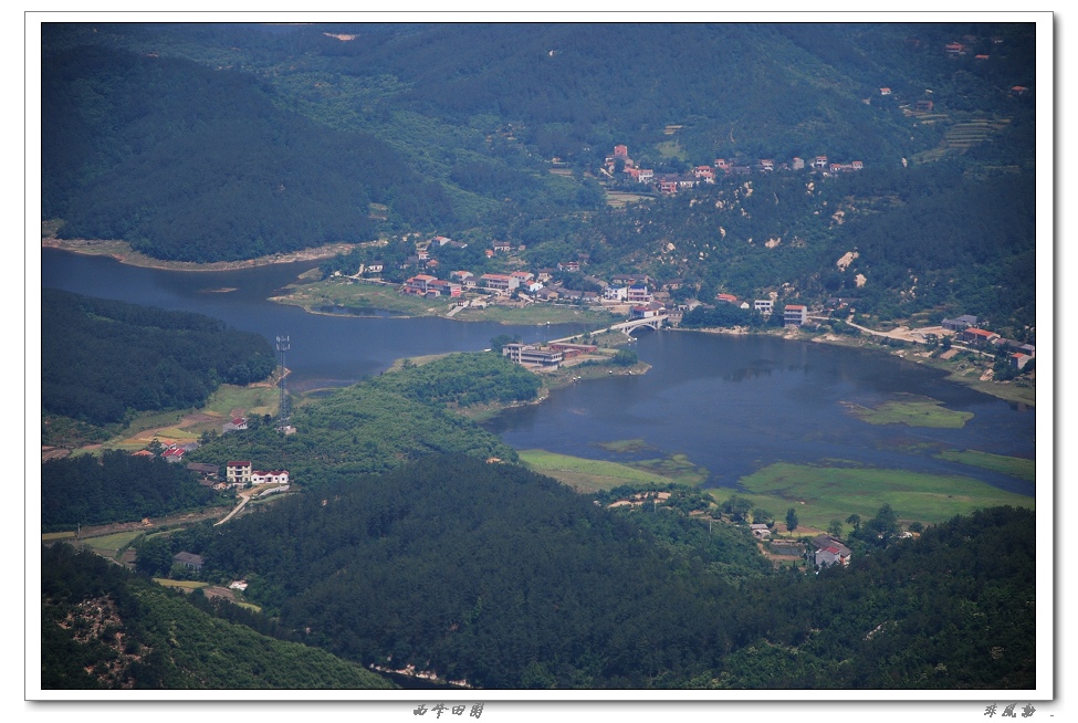 dsc_4817_neo_img.jpg