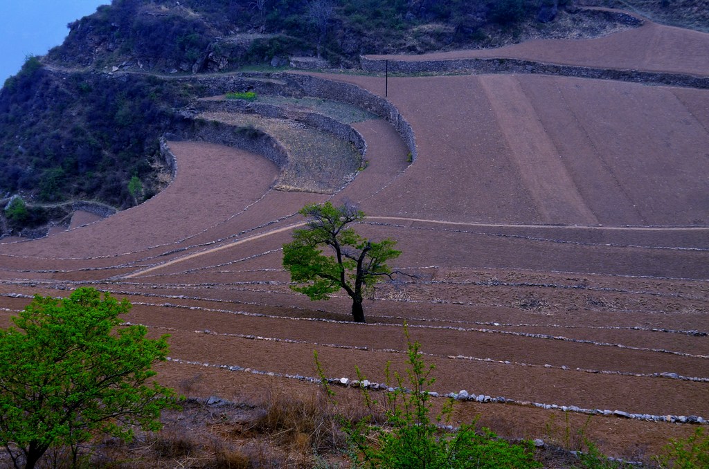 dsc_0592.jpg