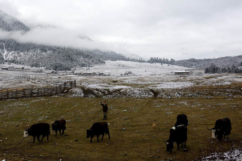 dsc_9207_34.jpg