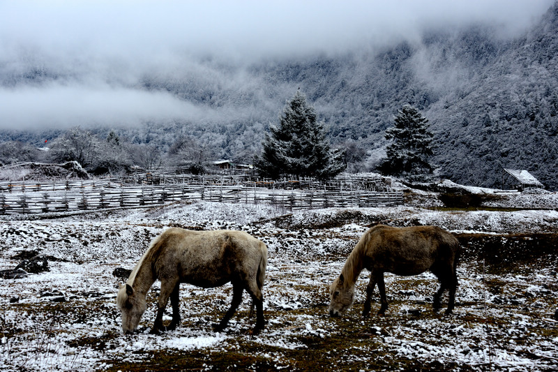 dsc_9064_20.jpg