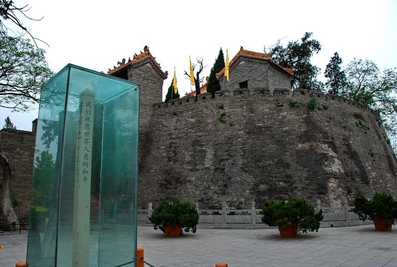 dsc_8536.jpg