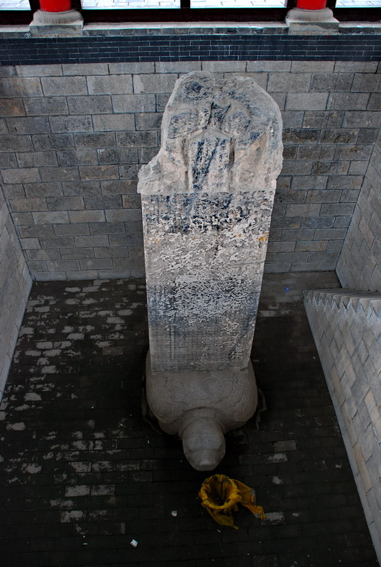 dsc_8575.jpg