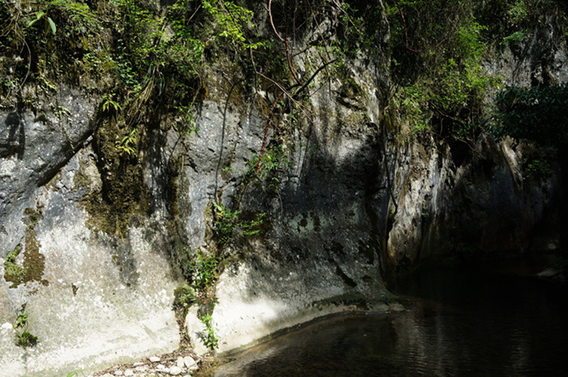 dsc01960_.jpg