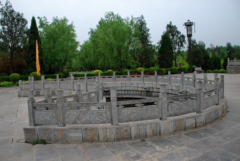 dsc_8596.jpg