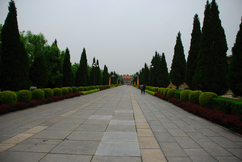 dsc_8622.jpg