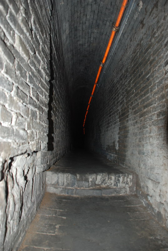 dsc_8764.jpg